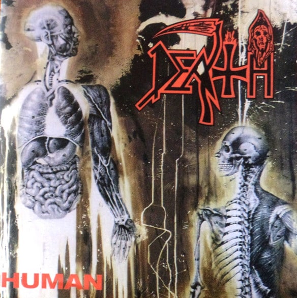 DEA07- Death - Human