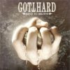 GOT03 -Gotthard - Need To Believe