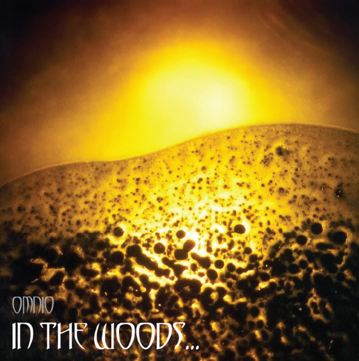 In the Woods - Omnio