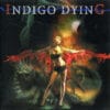 IND01 -Indigo Dying - Indigo Dying