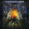 DEA18 -Deathember Flower -Architect