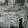 BRO04 -Brotherhood- ...Turn The Gold To Chrome…