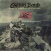 CHE04 -Cherri Bomb - This Is The End Of Control