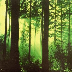 Thy Serpent – Forests Of Witchery (lacrado)